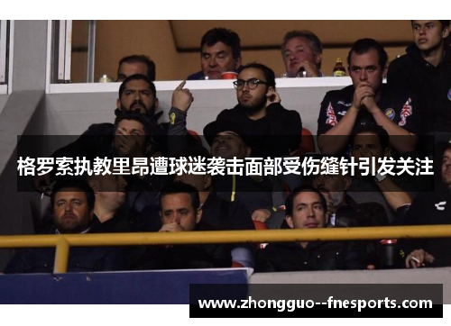 格罗索执教里昂遭球迷袭击面部受伤缝针引发关注